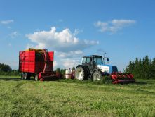 Energy crop production